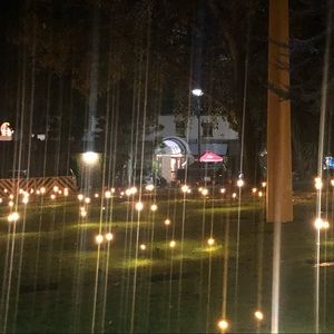 Meet your Posher, Dawn